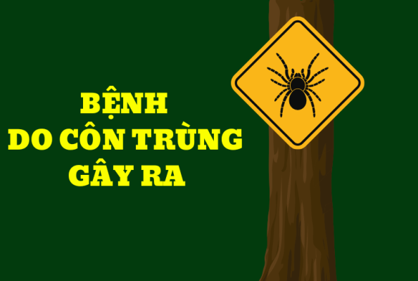 Bệnh do côn trùng gây ra